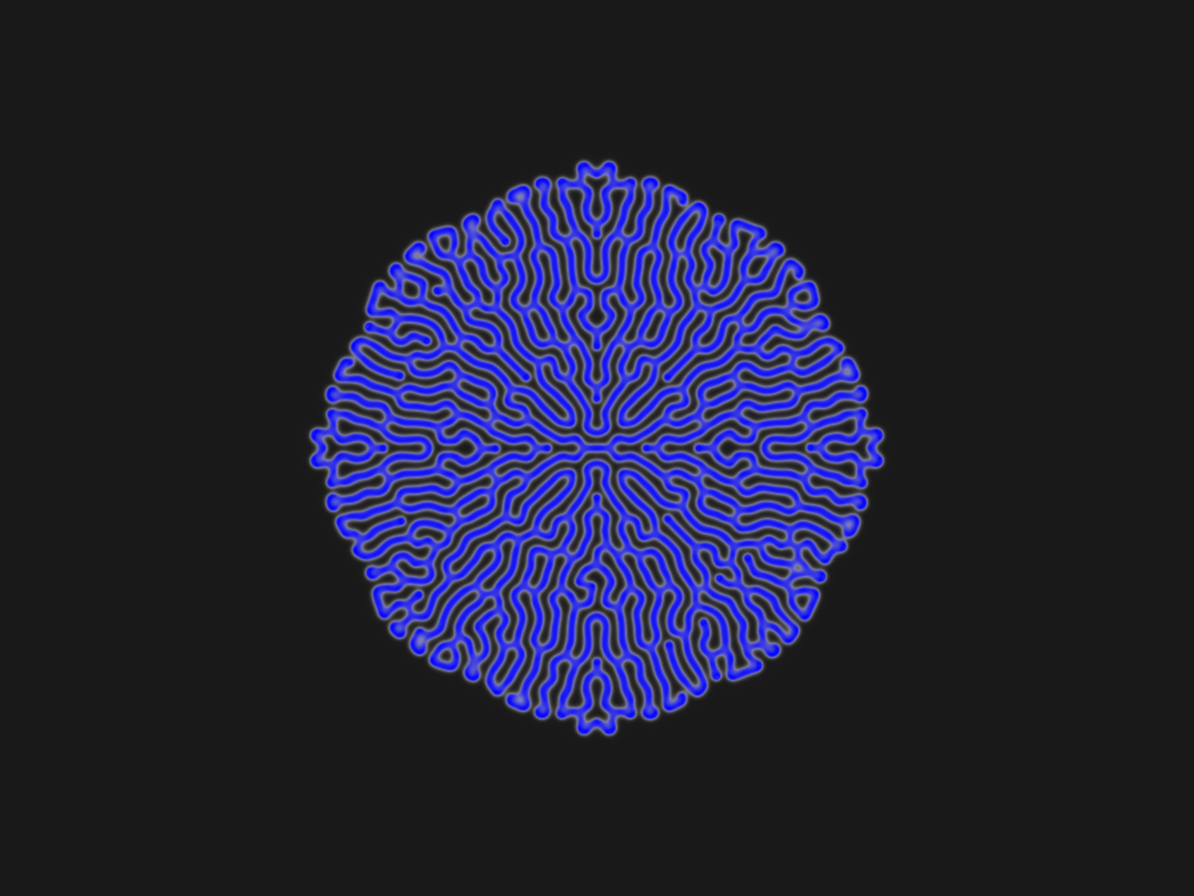 Reaction Diffusion Simulation